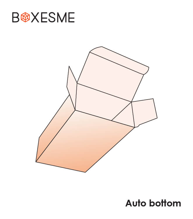 Auto Bottom (3)